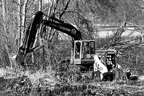 AALE-Benz-projects-001BW400 AALE-Benz-projects-001BW400